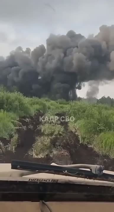 ����� �����: ������ ������� ���� ���