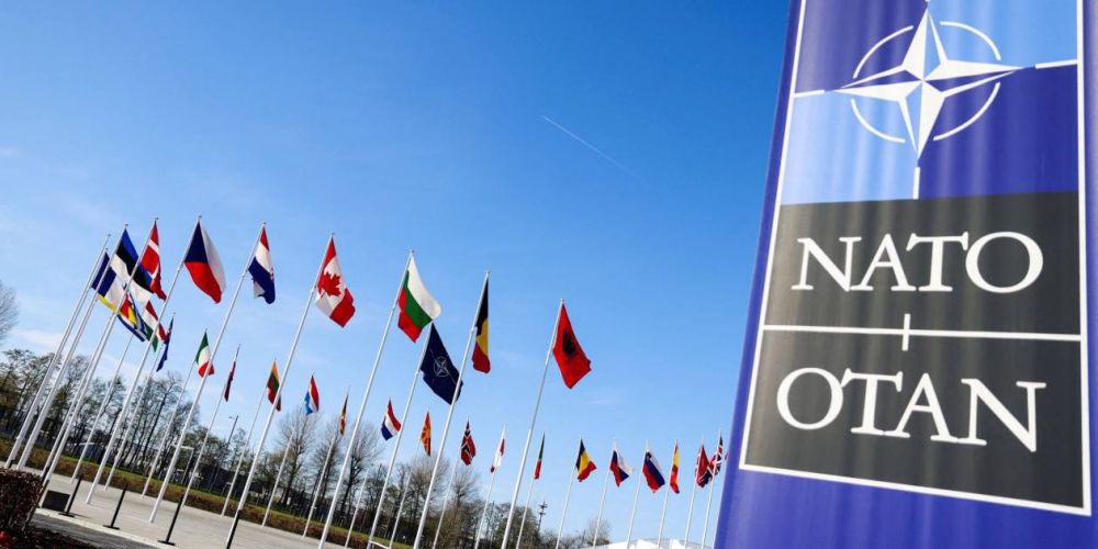 ������ �������: ���� ����������� �� ��������-������������� ������