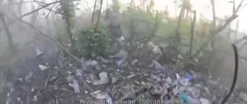 Чингис Дамбиев: Подрыв на мине украинского БТР M113 американского производства на Запорожском направлении