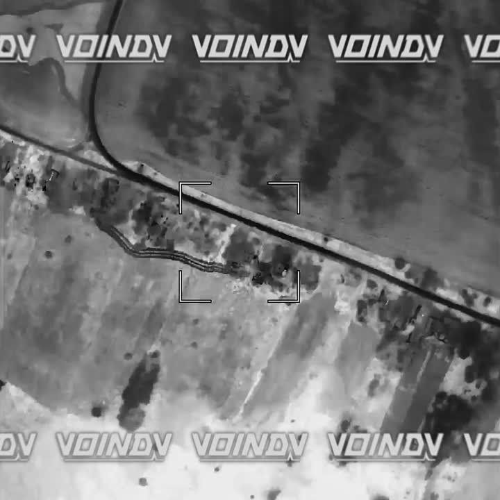 ����� �����: ����� ����������-����������� ������� �� ��������� �������� � ����������� �������