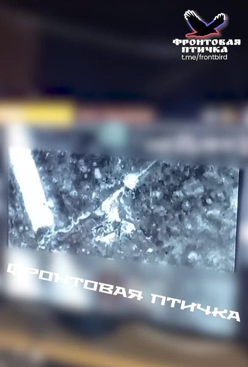��������� ������ ������ �� ����� ���������