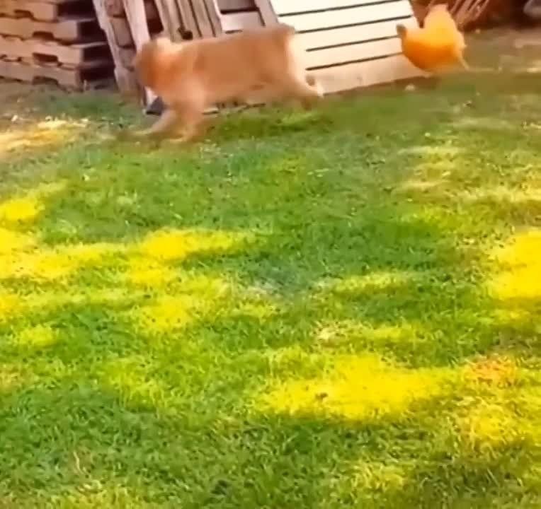 ������� ���� , ������� ������������!