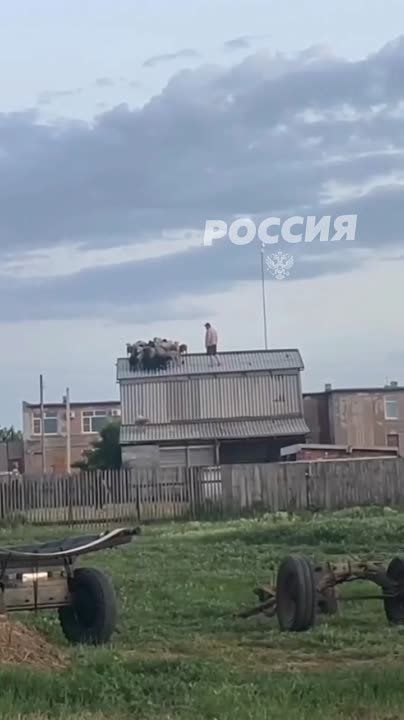 � ����� ����� ���� ��������� �� ����� ������ � �� ������ ����������