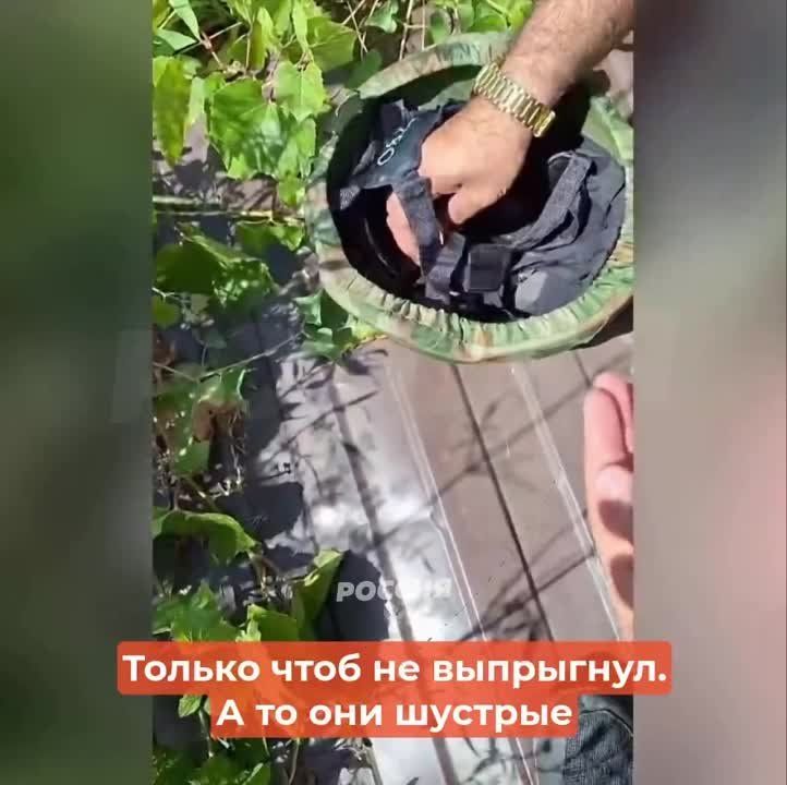 � ������������� ��������� ��������� ������� �� ���������� � ��������� �� � ���������
