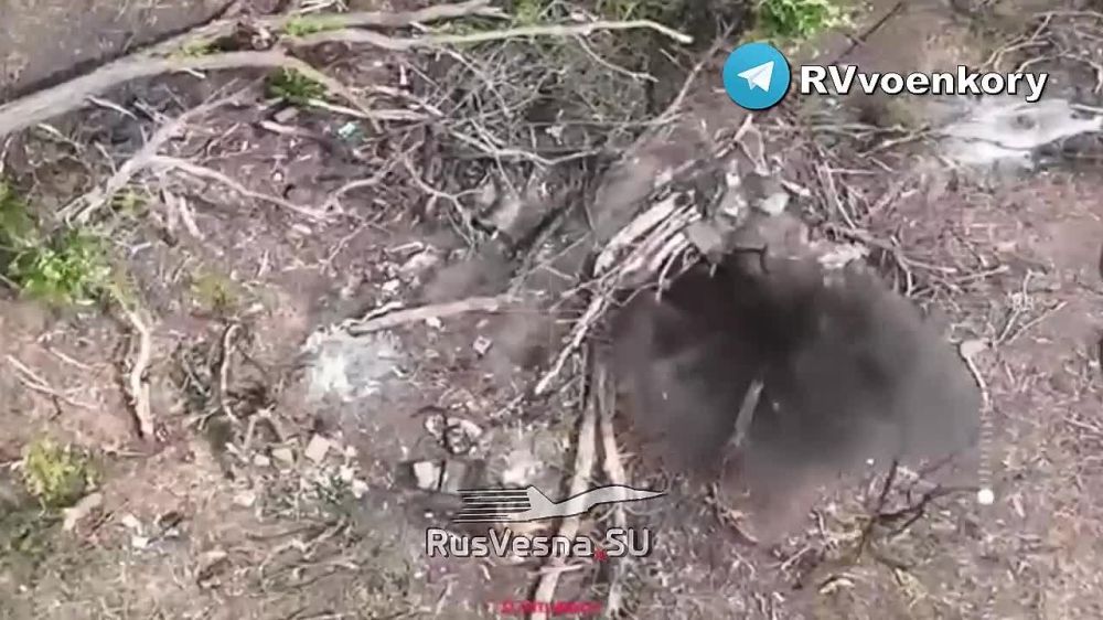 ��� ��� ��������: 291-� ���� ������� ������ ��� ������ � ��������� �� ����������� ������
