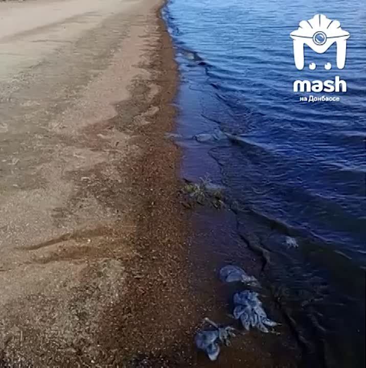 ������ ������� ��� ���, ��� �������� �������� �� ���� � � ������, ������, ��������� � �� ������������� ���� ����� ��� ������ ������ ������
