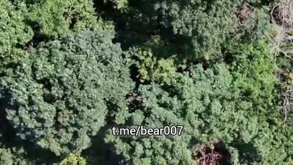 ����� � ������������ �����������