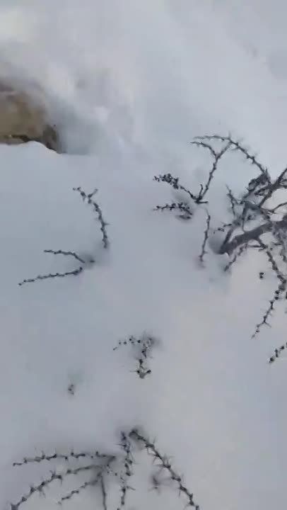 ���������� ��������� � ��������� ������� �������� ����� ����� �������� � ����
