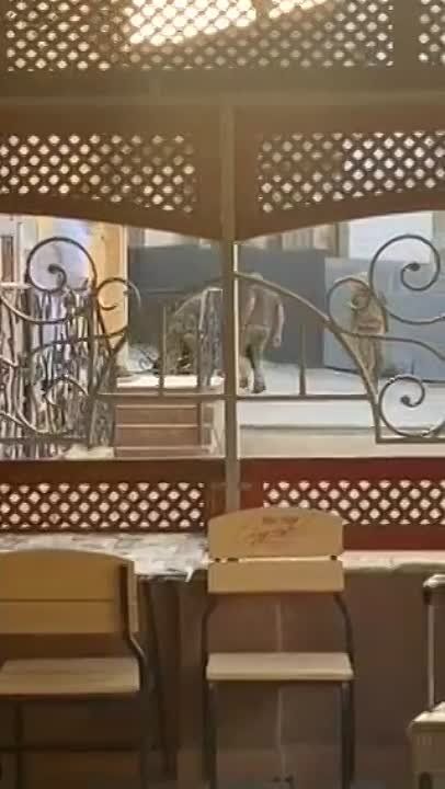 ������� ����������� ������� � ������� �� ��-������� ��������
