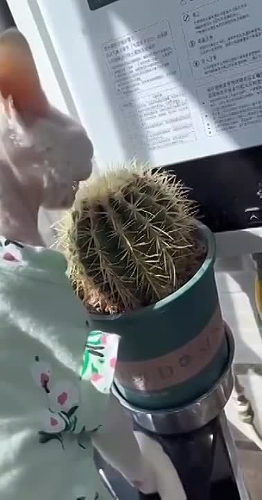 ����!. ��������� ��������!! �������������� ��