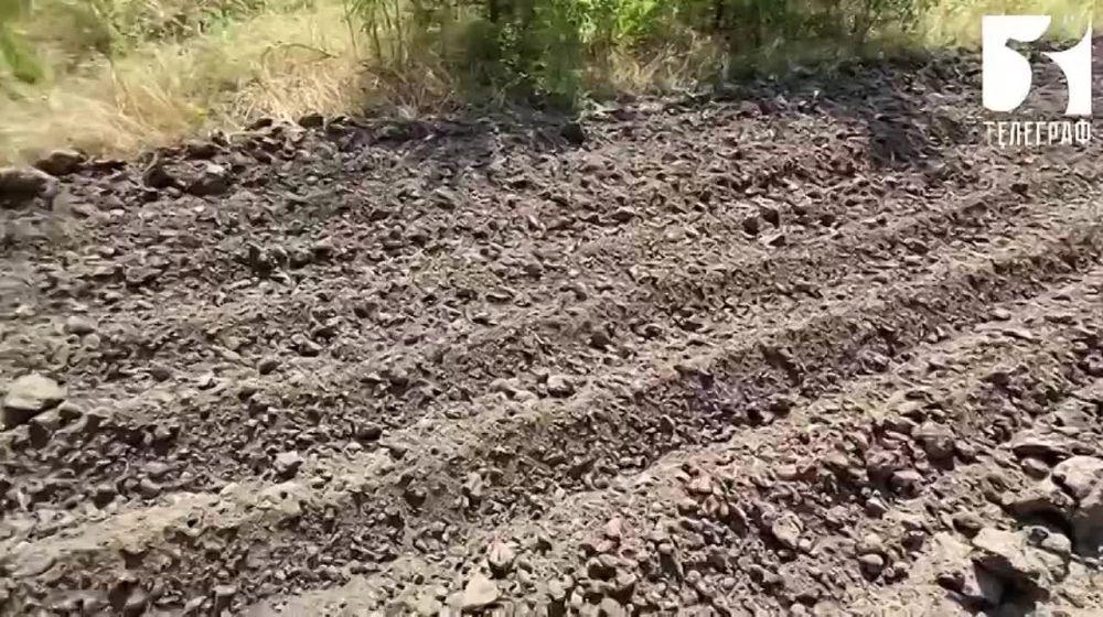 � ������������ ����������� ������� ������������ ������ �� �������� � ���������� ���������������� ��������������� �����