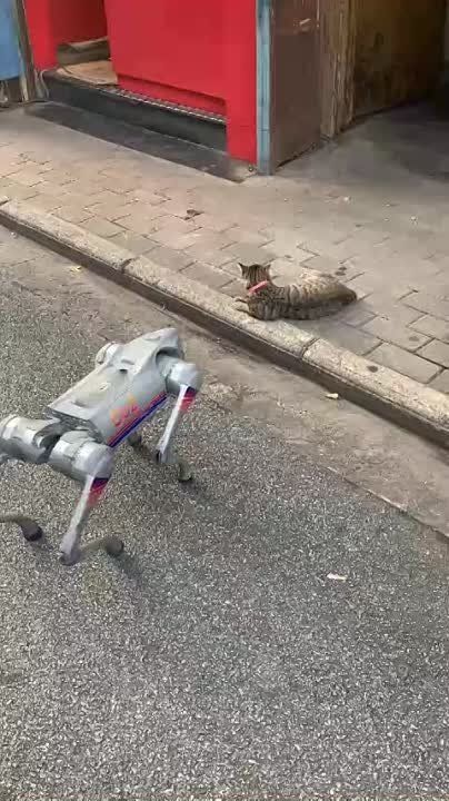 ������� ������� �������� �� ������ �����