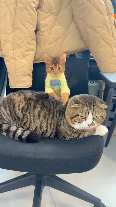 ����� ��� ���� �������� � ������ ������!