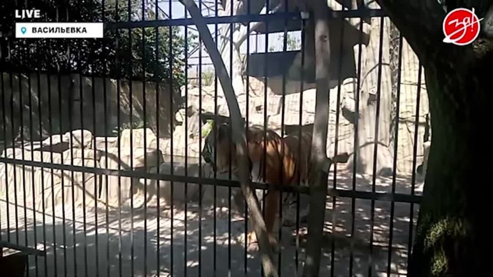 � ������ ���������� ����������� ������� �������� ����� ������������ ������ ��������, � ������ ��������� ��� �������, � �������� ��� ������ 20 ���