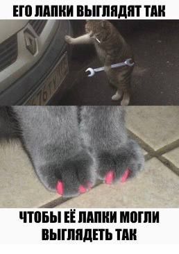 �������, ����� �������. �������������� ��
