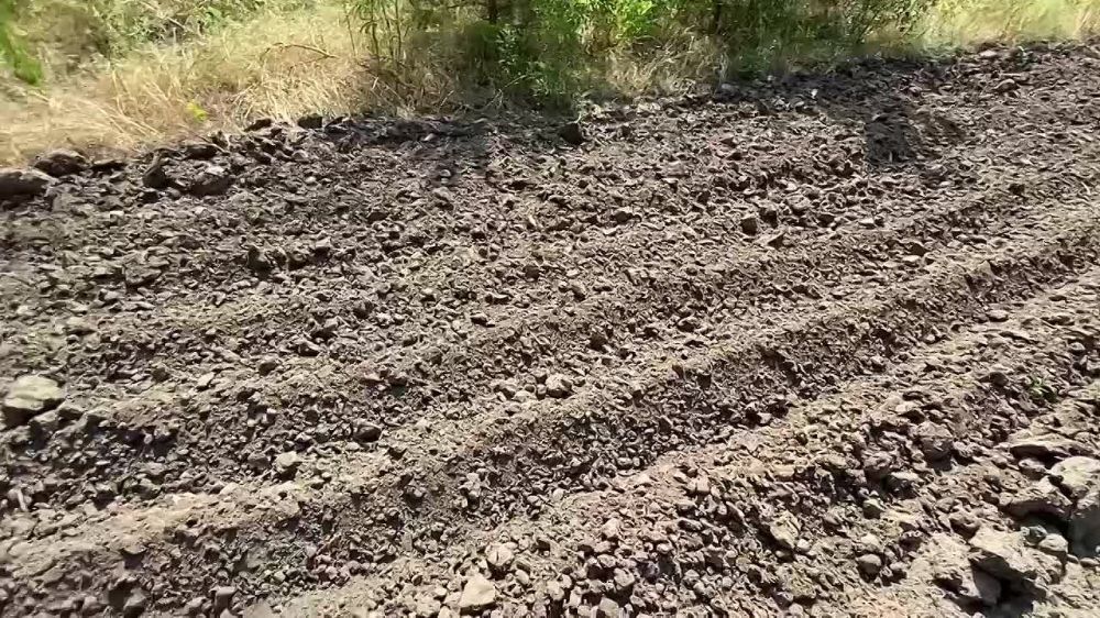 � ������������ ����������� ������� ������������ �������� � ���� �� ����������������� ���������������� ��������