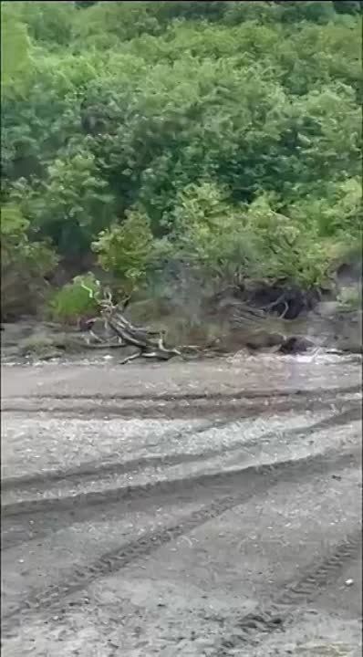 ����������� ������ ���������� ���������� �� ��������