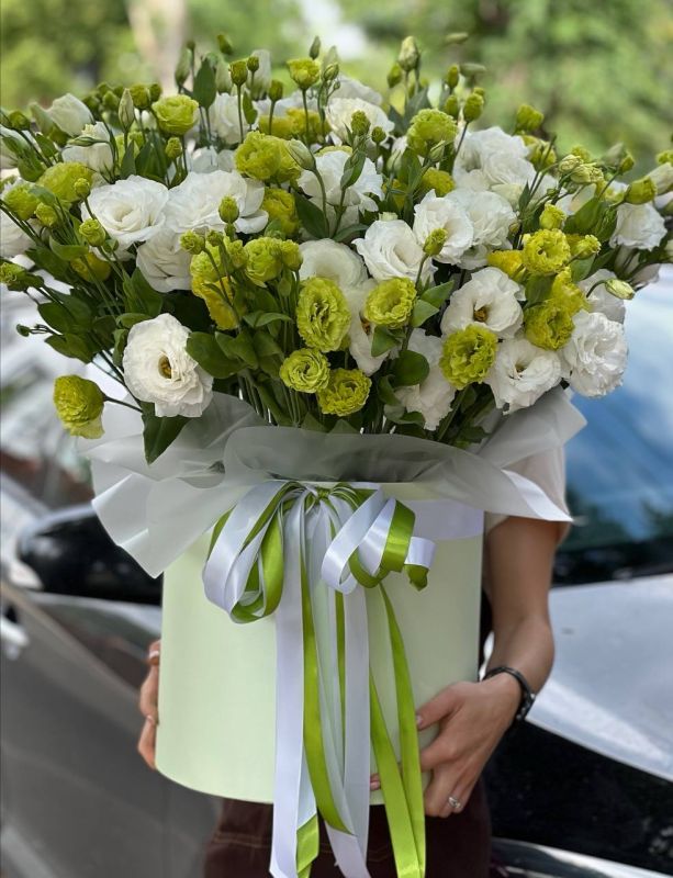 AZOV FLORA . ������ � ����������