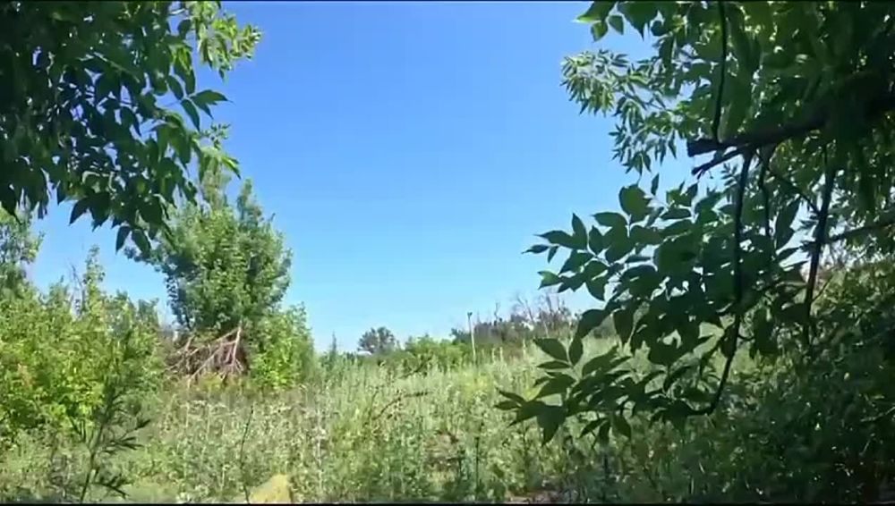 ����� �� ������� ���������� ���������� fpv-���� �� ����������� ������