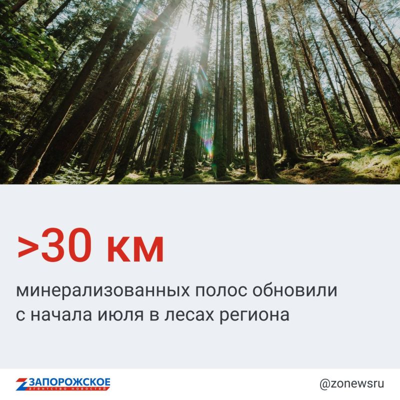 ����� ������ �� ������ ������ ���� �������� ������� � �����-������ ���������� ����������� �������