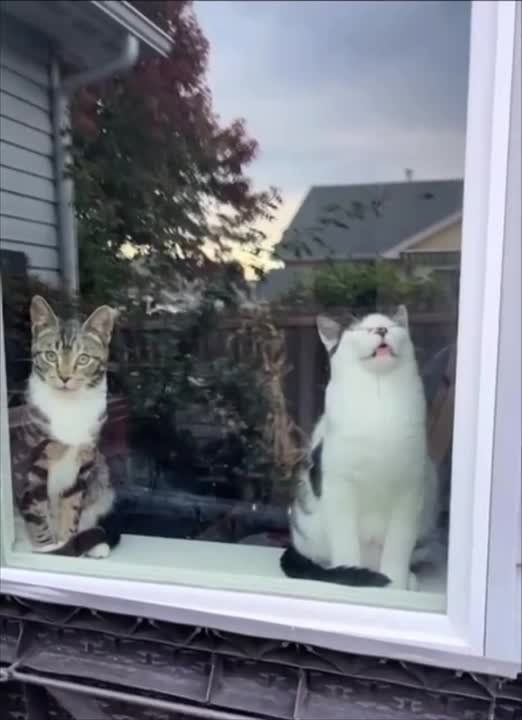 ������ ����, ������!. ����� �����������! �������������� ��