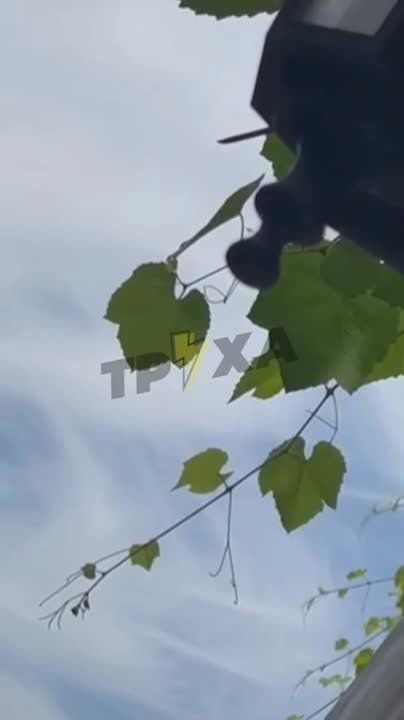 ��� �������� �������������� �������� ������� ������ ��� ��������� � �������