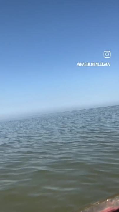 ������ ���� ��������� � ����� ����� ����� ��� �������� �������, 8 ����