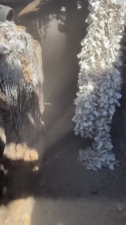 ���� � ��� ���������� �� � ����