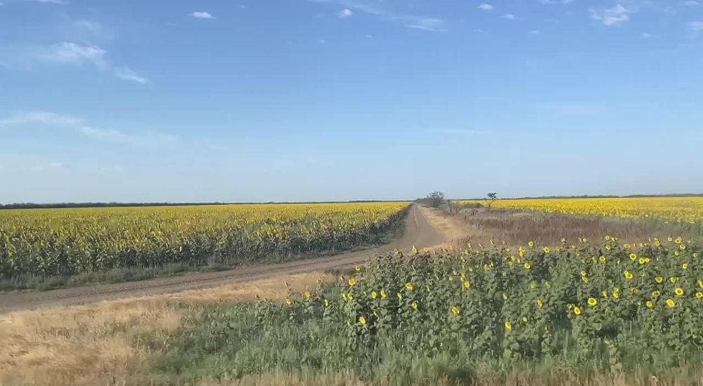 ����� ���������� �� ������������� �����