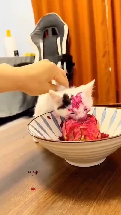 ������ ����!