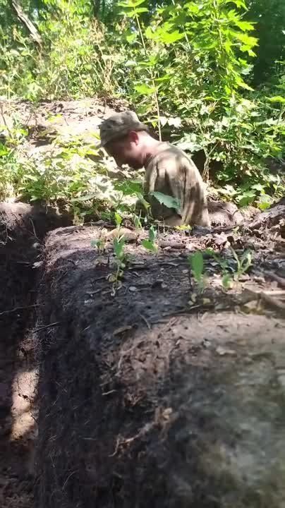 ��� ������ ���������� ��������� - ������ ����������� � �����