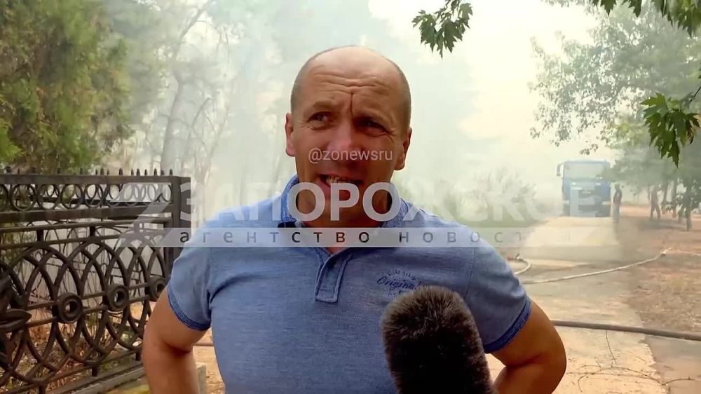 Силы гражданской защиты населения ведут борьбу с лесным пожаром на подступах к Энергодару