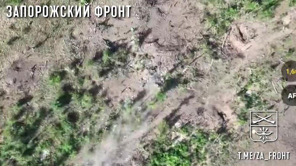 ����� �����: ����� ������ ������ ���������� 291��� �� ����������� ���������� �� ����������� �����������