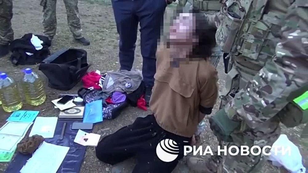 Пелоси слила Байдена, страны «ледяного пакта» хотят захватить Арктику, а Эрдоган обвинил Вашингтон в поддержке терроризма