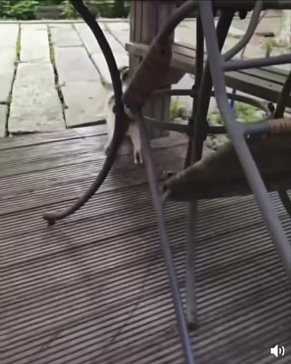 �������� ������. �������������� ��