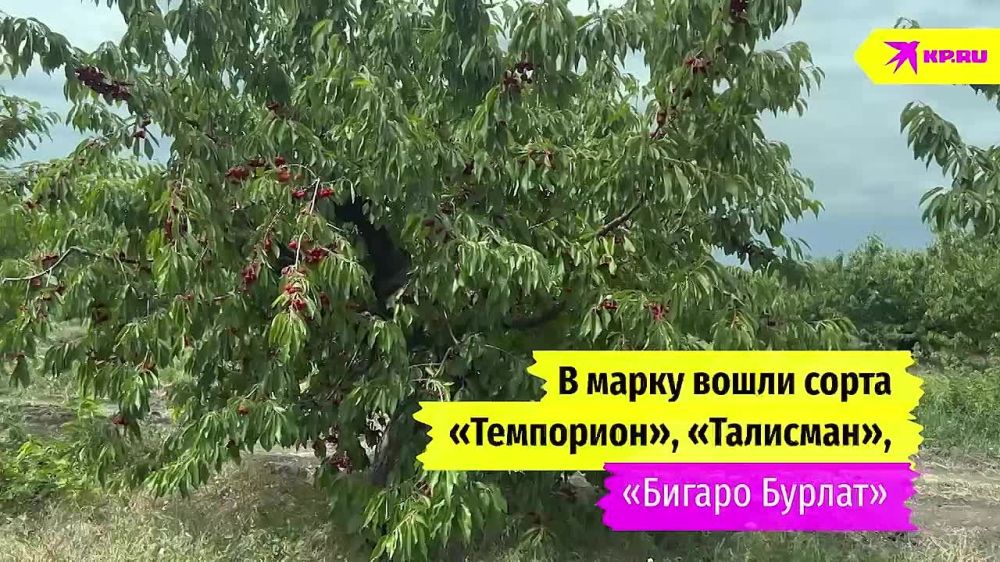 100 ���� �� ������: ���������� �������������� ������� ����� ������ ������������ ������� ����� ��������� ������