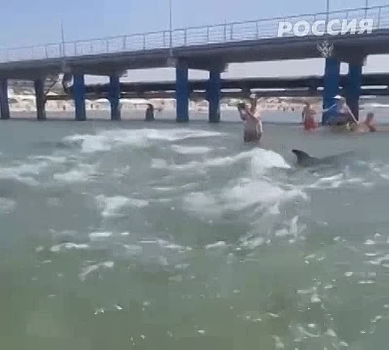 �������� ������ �������� � ������ � ������� �����