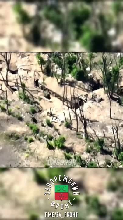 �������� FPV-����� ������ ����������, ��������� ��� �� ����� ����