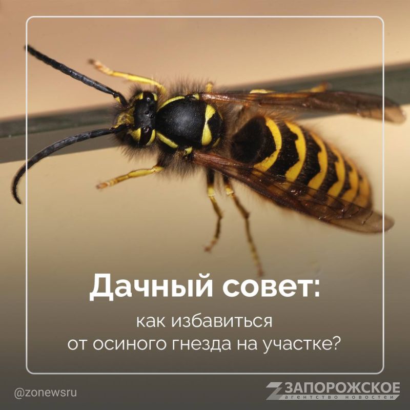 ��� ������� ������� ����� � ��� � � ����� ������� � ���������