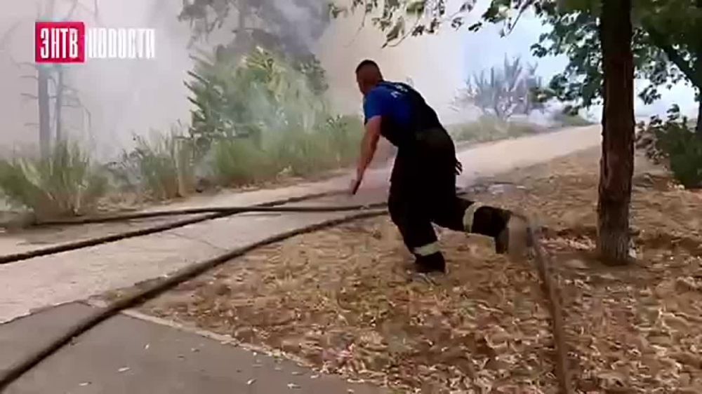 ������ ���������� ������������ �������� ���������� � �����, ������� ���� ���������� ���� ���