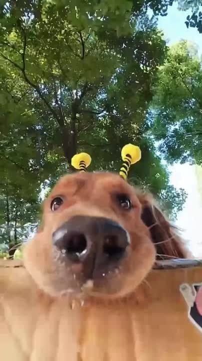 ��������� � ���� �������!
