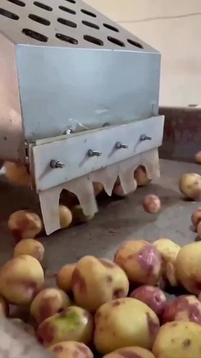 ���������� �� ����: ��� ������ �����