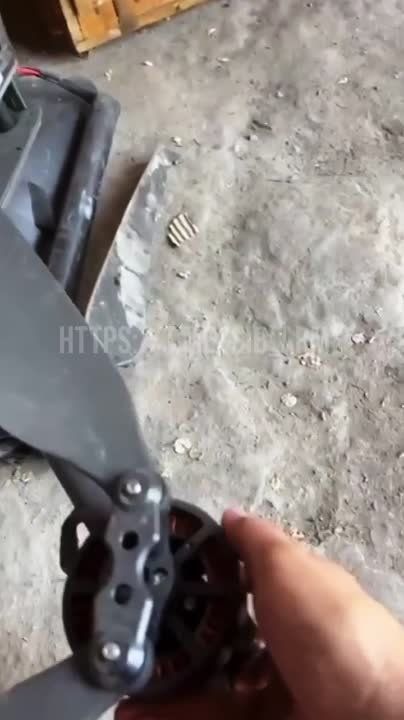 ���� ������� ���������� "����-���"
