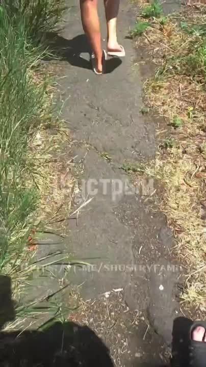 ��� ����� �������� �������� ������ �������