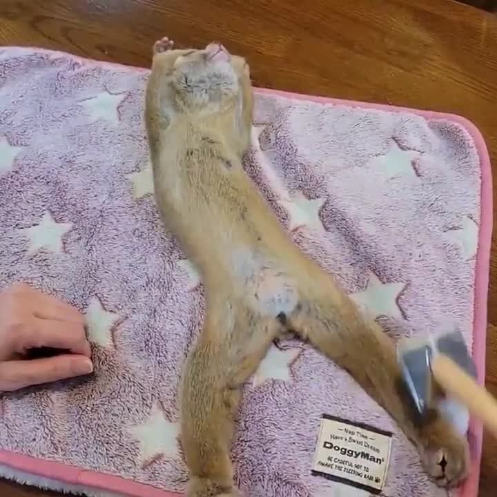 ������ ����!