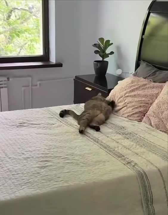 ������� ���� , ������� ������������!