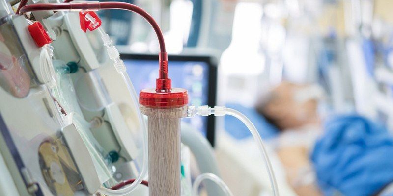 ��������� ���������������� ������ Polymed ���������� � ������ ������������ ������� ��� �����������