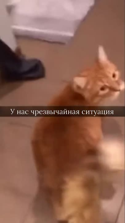 ����!. ��������� ��������!! �������������� ��