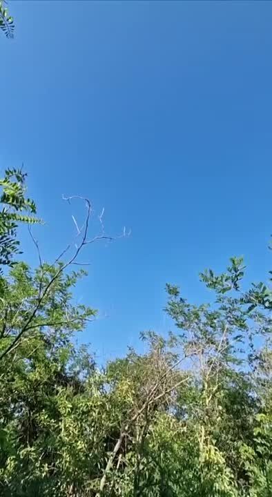 ���������� ��� ������ ������������ ������� ���������� ������ "������" �� ����������� �����������