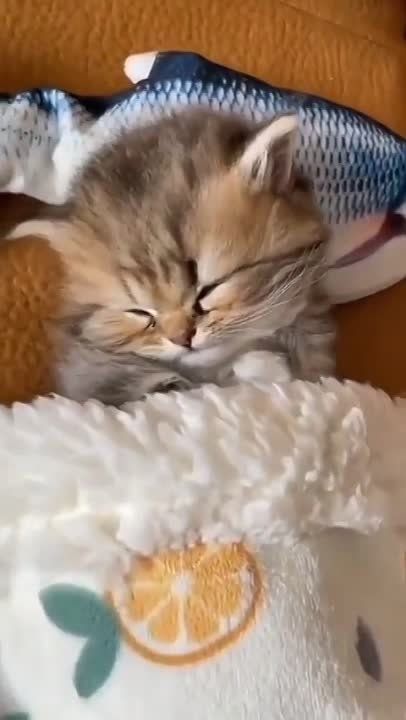 ������ ����, ������!. ����� �����������! �������������� ��